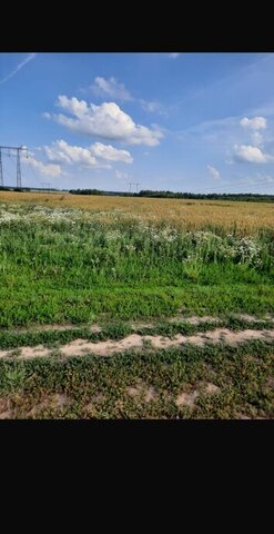 муниципальный округ Зарайск, деревня Хлопово фото