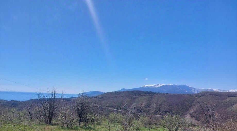 земля г Алушта с Лучистое фото 1