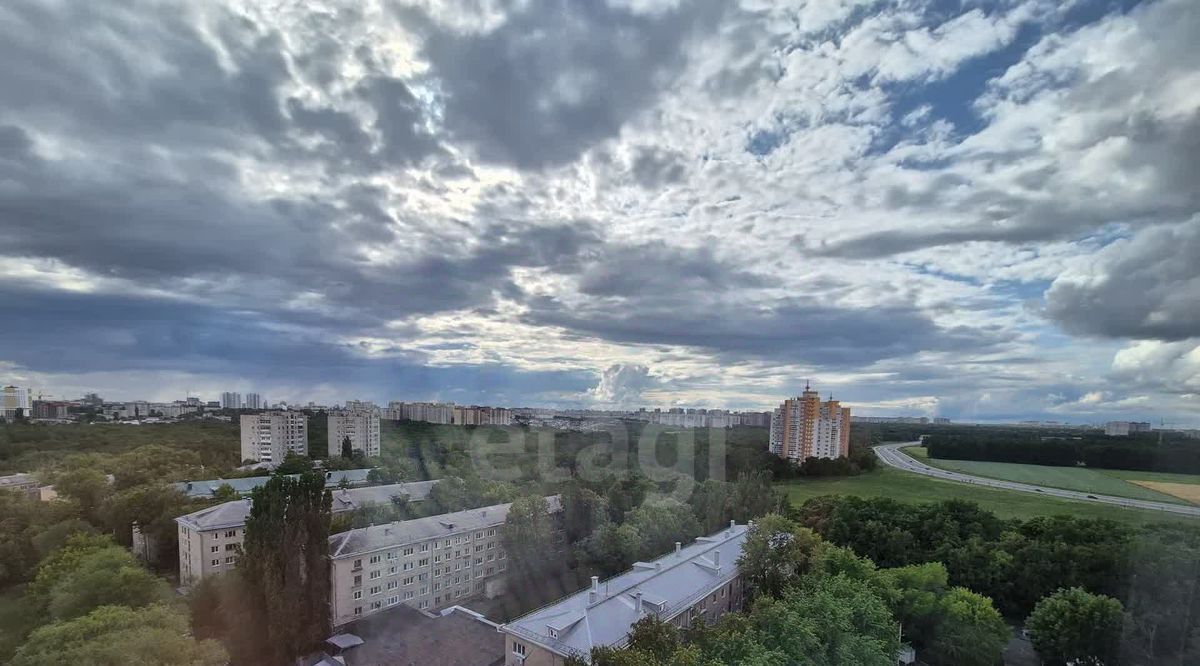 квартира г Воронеж р-н Центральный ул Березовая роща 54/2 фото 4