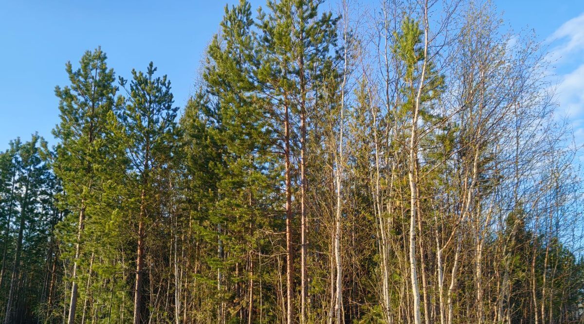 дом г Нижневартовск снт Семь Я фото 4