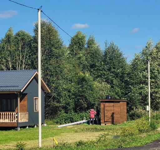 33 км, Деденево, Дмитровское шоссе фото