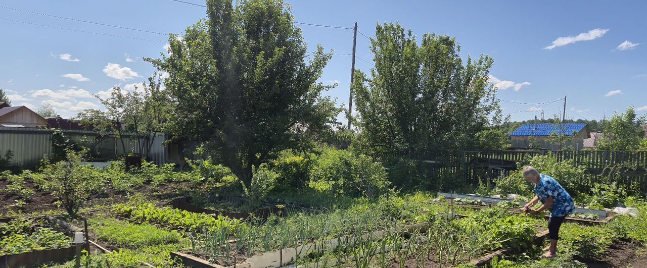 земля г Железногорск снт N 10 ул. Строителей, 29 фото 6