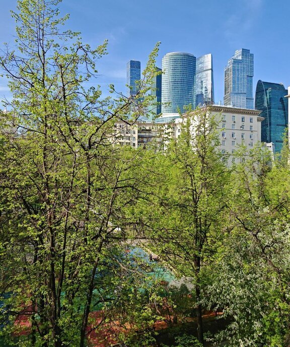 квартира г Москва метро Кутузовская пр-кт Кутузовский 30 муниципальный округ Дорогомилово фото 16