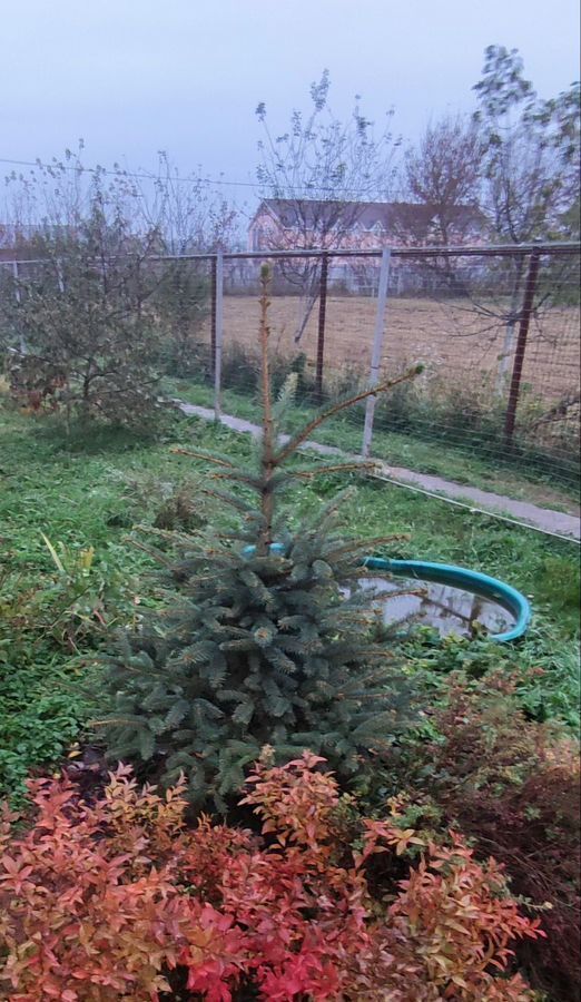 дом р-н Козельский г Козельск ул Колхозная 9а фото 6