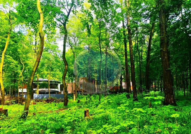 2 км, Видное, Варшавское шоссе фото