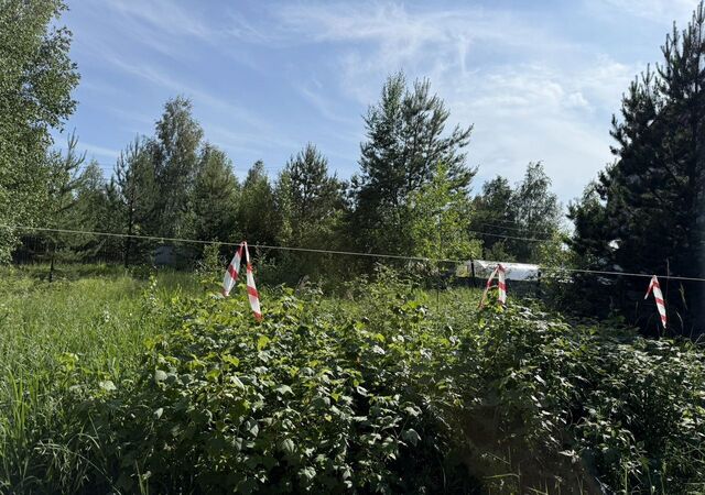 земля тер ПСК Ветеран-2 ул 6-я Тюменская обл. фото