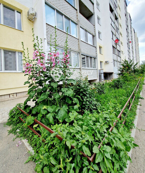 квартира г Саратов ул Романтиков 46б фото 22