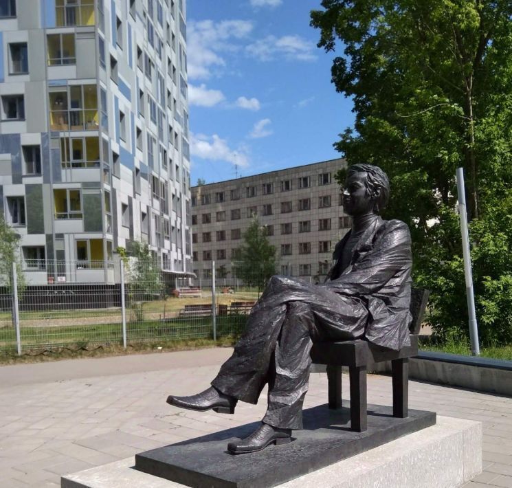 квартира г Пермь р-н Свердловский ул Революции 48в фото 33