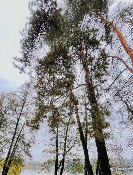 дом городской округ Воскресенск г Белоозёрский Отрадная тер., Ипподром фото 14