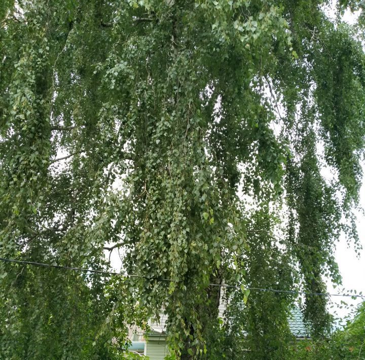 дом г Калуга д Сокорево 15 фото 17