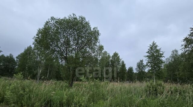 снт Приозерное Тюневское с/пос, ДНТ, Нижнетавдинский район фото