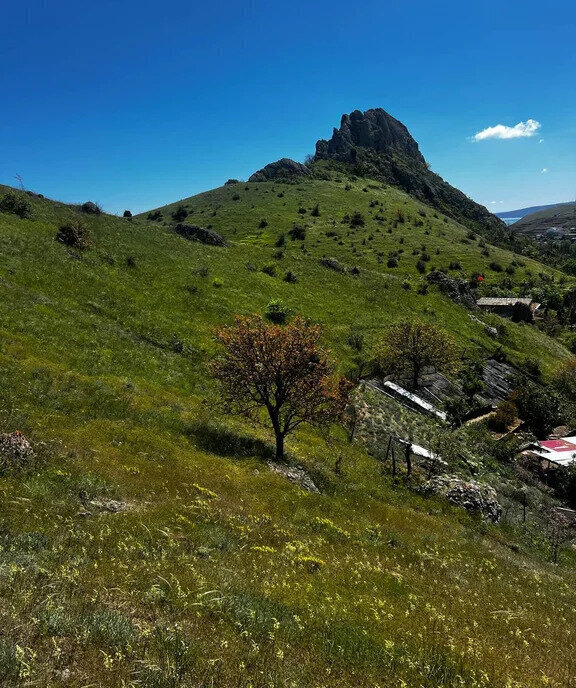земля г Феодосия пгт Курортное фото 2