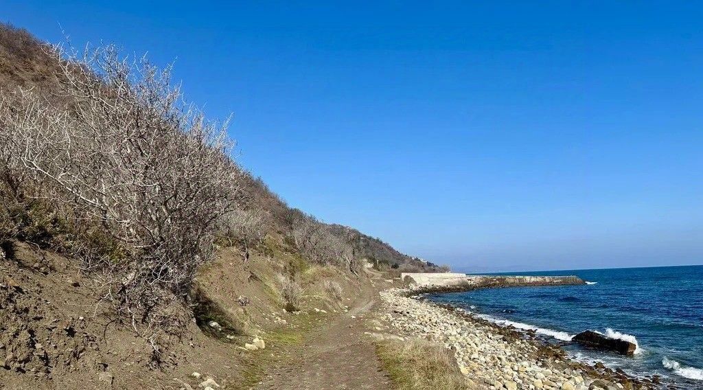 земля г Алушта с Лазурное ул Головкинского 8 фото 4