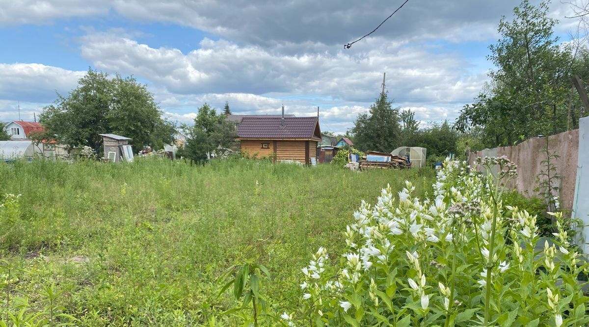 земля г Бор снт тер.Волжские Зори 98 фото 3