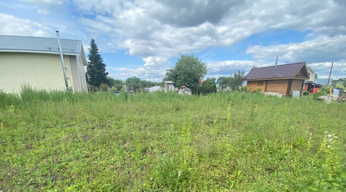 земля г Бор снт тер.Волжские Зори 98 фото 7