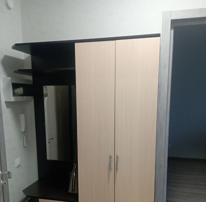 квартира г Воронеж р-н Центральный ул Загоровского 9/2 фото 9