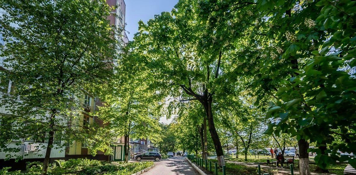 квартира г Краснодар р-н Карасунский ул Уральская 172 фото 5