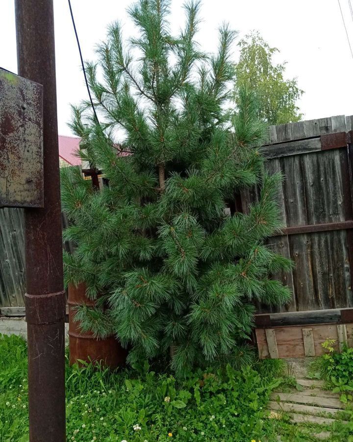 земля г Белоярский снт Луч Тюменская обл., Нижневартовск фото 12