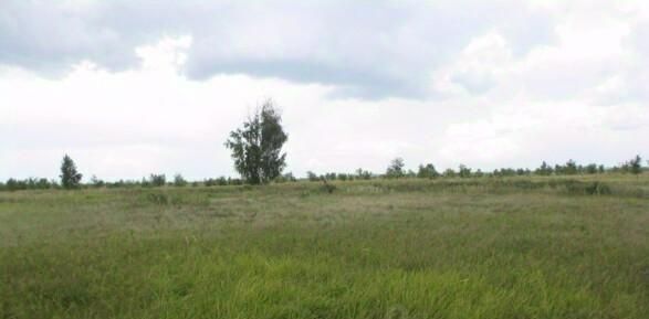 р-н Автозаводский ш Южное фото
