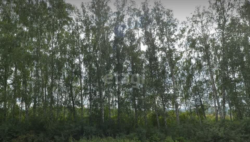 земля г Полевской с Курганово Екатеринбург фото 4