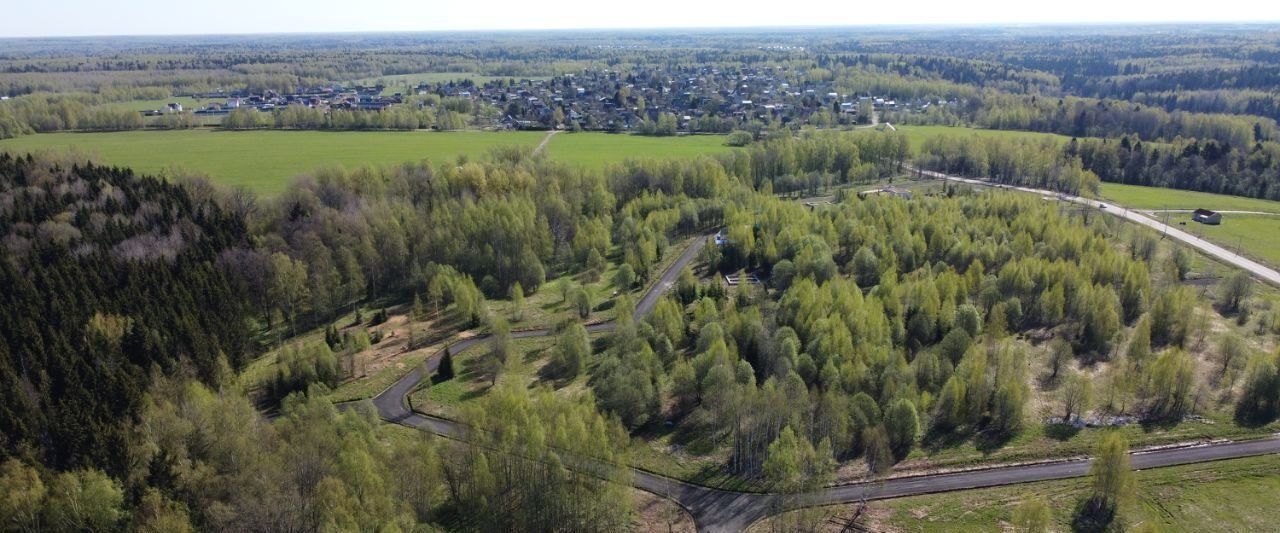 земля городской округ Сергиево-Посадский г Краснозаводск «Холмогоры» фото 3