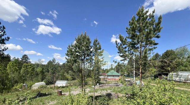 снт Флора ул 8-я фото