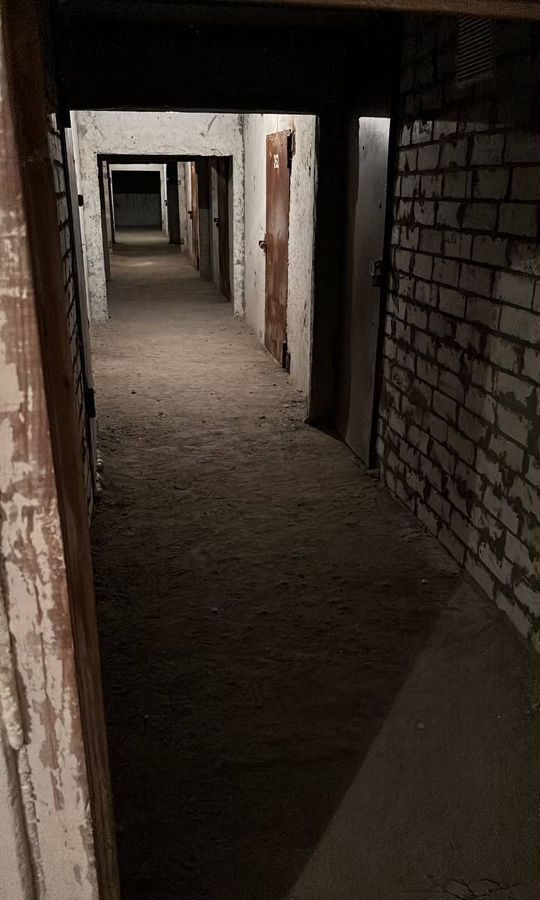 гараж г Ульяновск п УКСМ р-н Засвияжский 8А фото 3