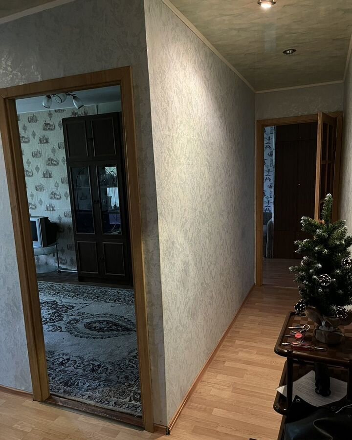квартира г Колпино ул Октябрьская 53 р-н Колпинский фото 12