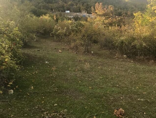 земля с Изобильное ул Новая 37б фото