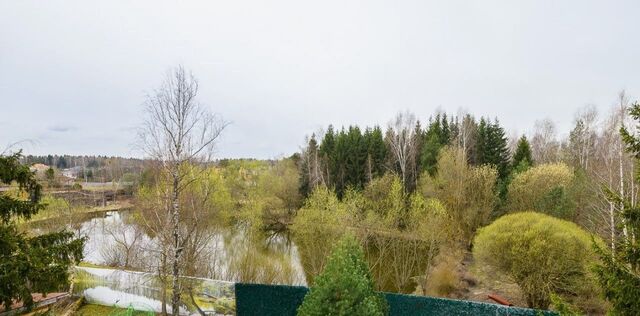 направление Ленинградское (северо-запад) ш Пятницкое Химки городской округ, д. Большаково фото