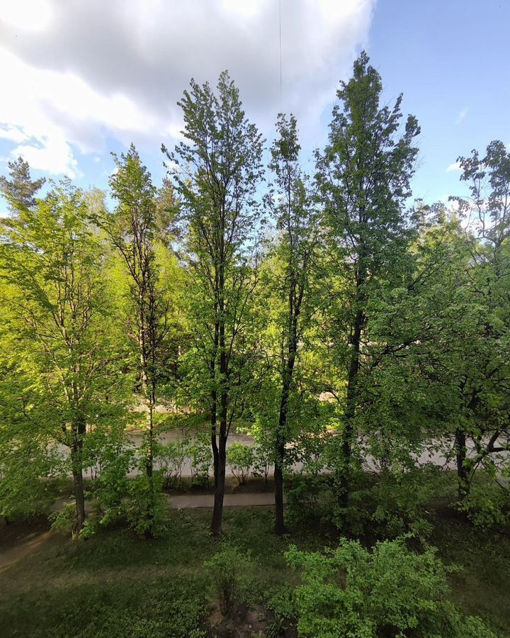 квартира г Балашиха д Черное ул Агрогородок 21 Железнодорожная фото 7