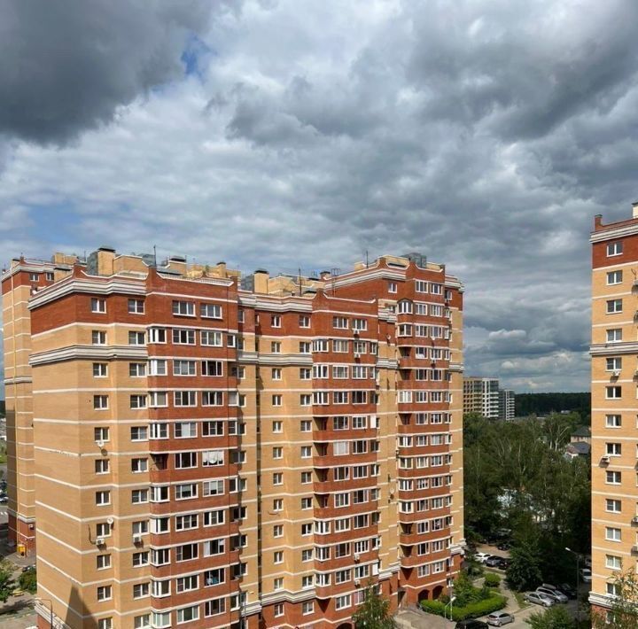 квартира г Пушкино ул Набережная 35к/3 О Пушкин, Новая Деревня мкр фото 21