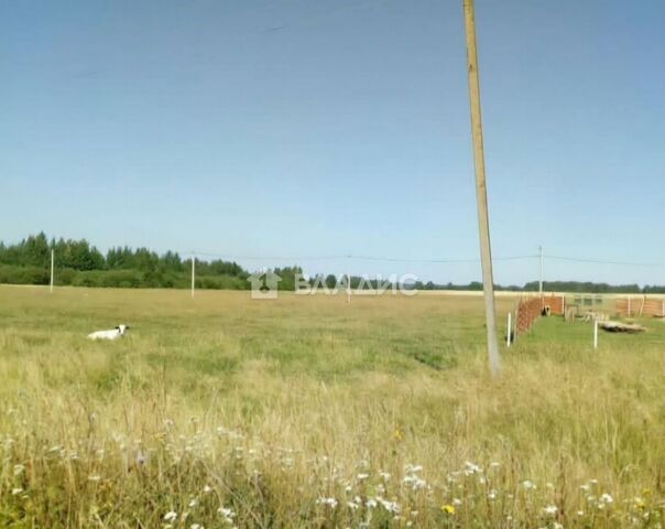 земля д Филисово ул Сиреневая Плёсское городское поселение, Приволжск фото