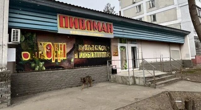 Кировская ул Веденяпина 32 фото