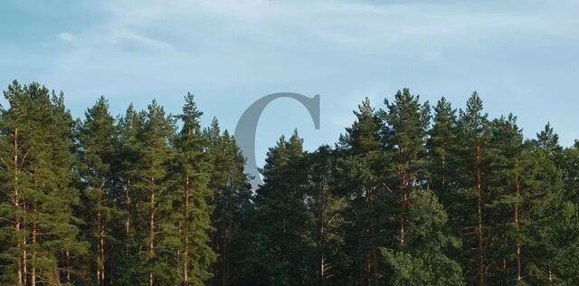 Одинцово фото