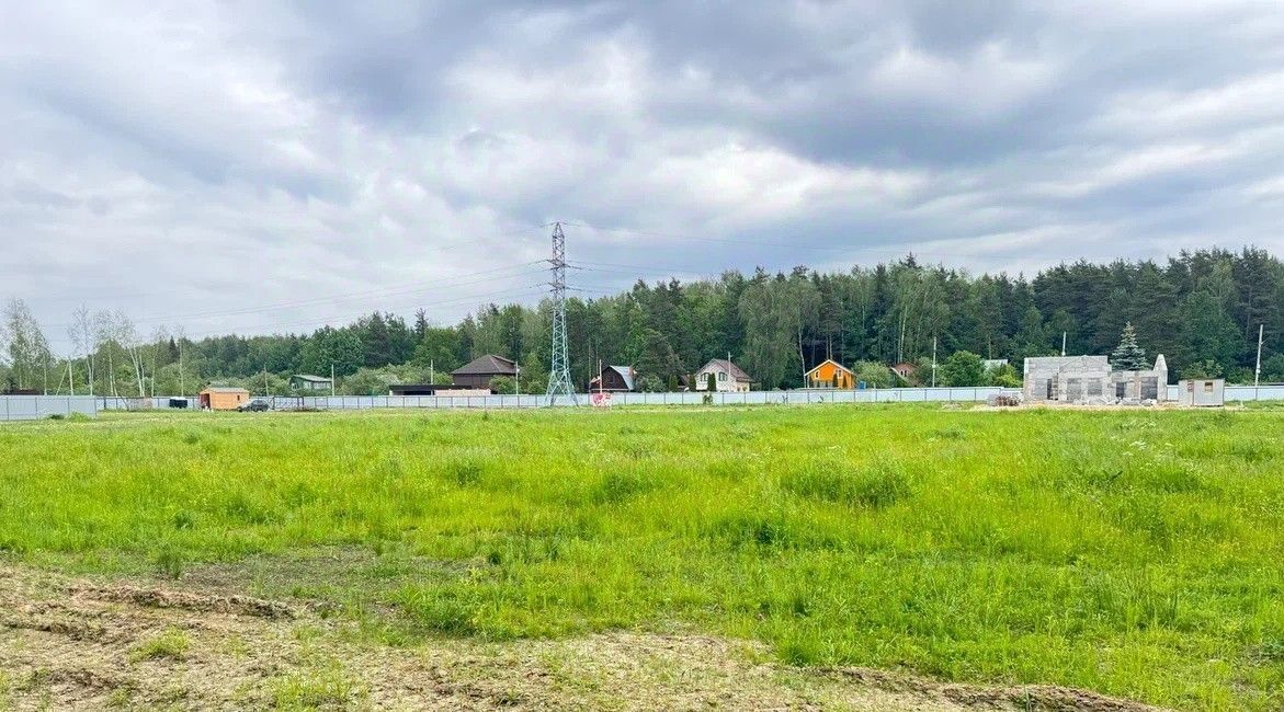 земля городской округ Богородский г Ногинск фото 38