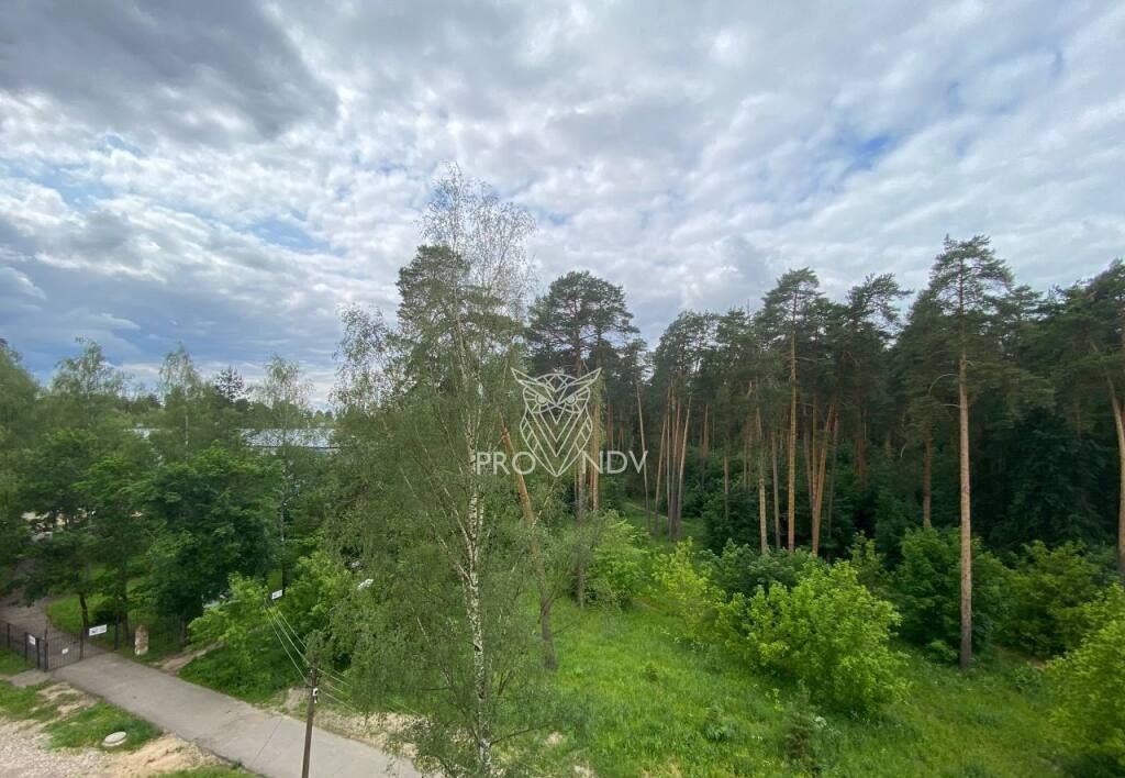 квартира городской округ Пушкинский г Красноармейск ул Новая Жизнь 8 фото 9