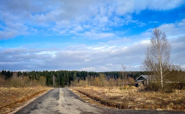 33 км, Деденево, Дмитровское шоссе фото