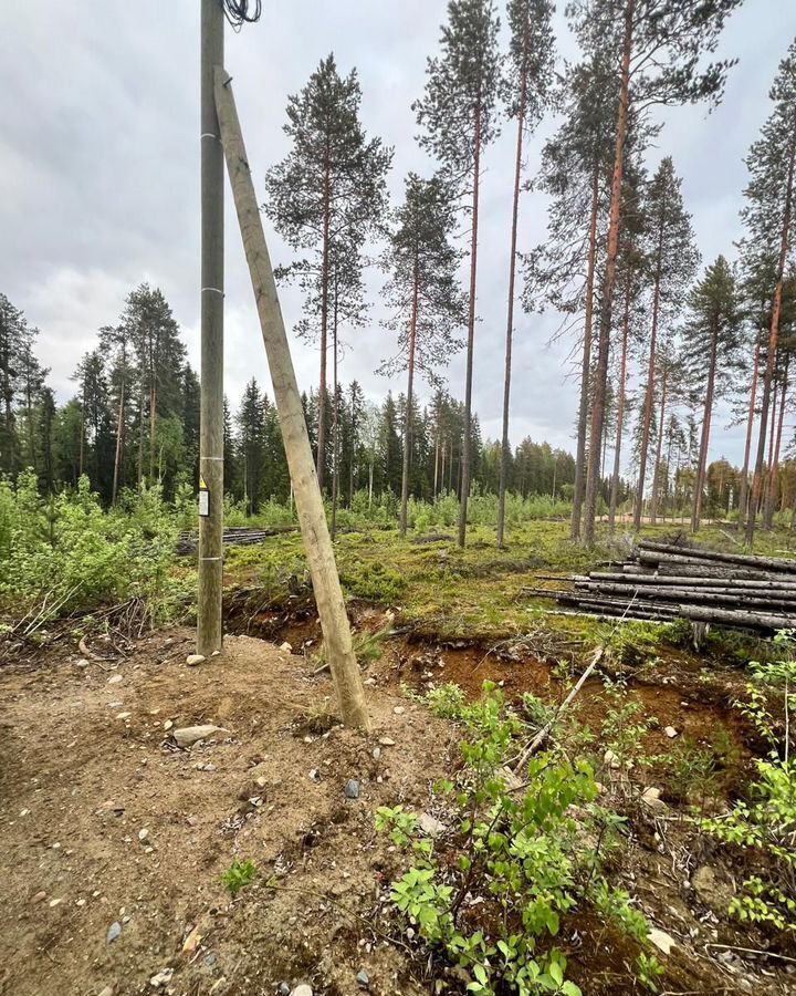 земля г Костомукша ул Летняя Костомукшский муниципальный округ фото 3