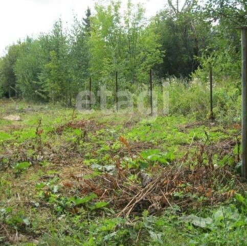 дом г Бердск ул Маяковского Речной Вокзал фото 2