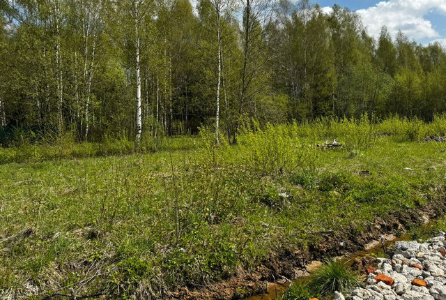 снт Раменье Дмитровский муниципальный округ фото