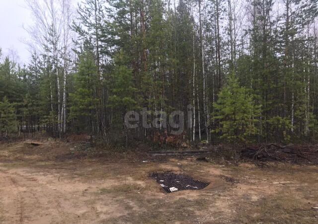 земля ст терN 68 Весеннее Тюменская обл. фото