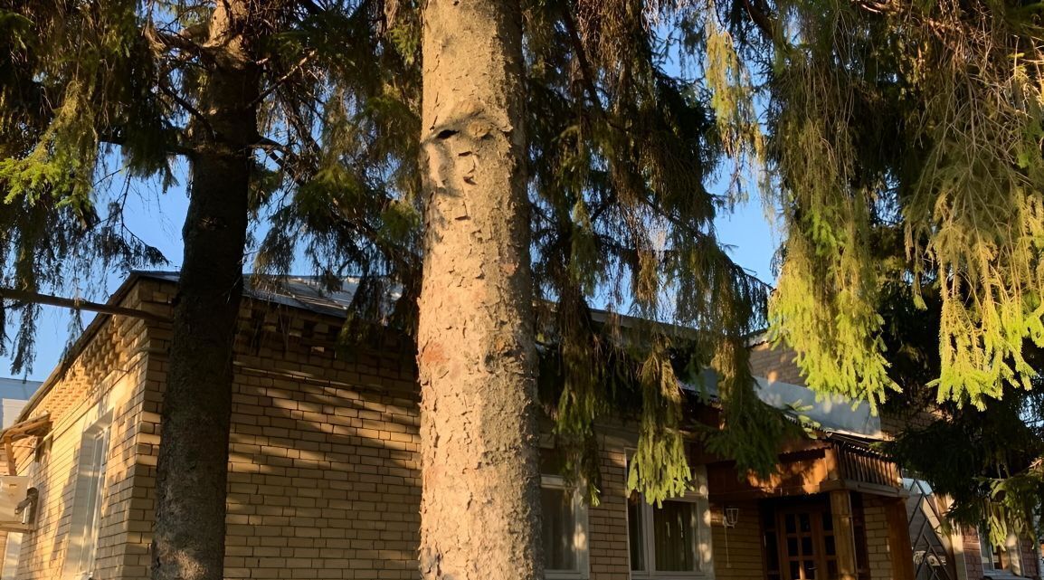 дом р-н Петровский г Петровск ул Баукова фото 4