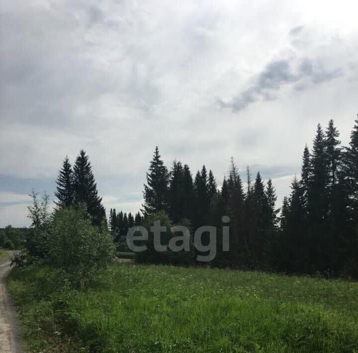 земля г Нижний Тагил с Сулём ул Гагарина фото 3