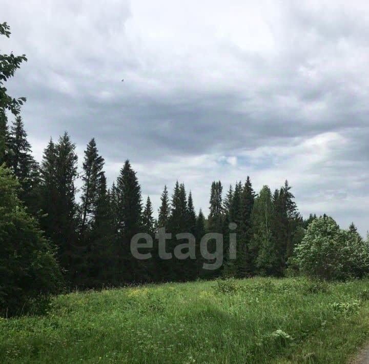 земля г Нижний Тагил с Сулём ул Гагарина фото 4
