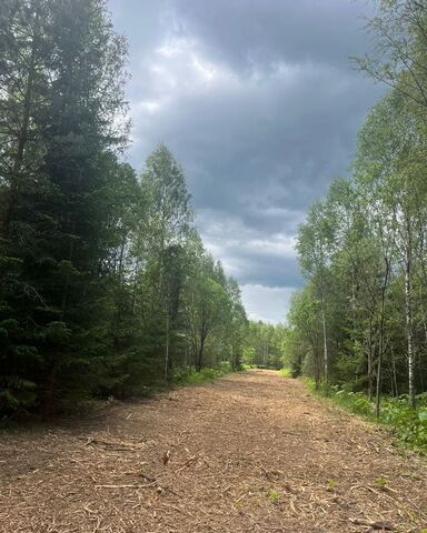 74 км, Руза, Минское шоссе фото