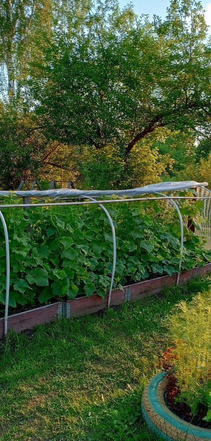дом р-н Шарьинский г Шарья снт Западный Ветлужский, 13-я линия фото 21