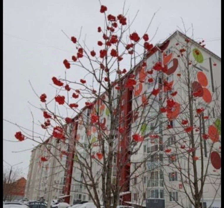 квартира г Курск р-н Центральный ул Рябиновая 26б фото 1