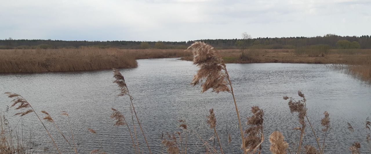 дом г Щёлково снт Дубки Дмитровский городской округ фото 7