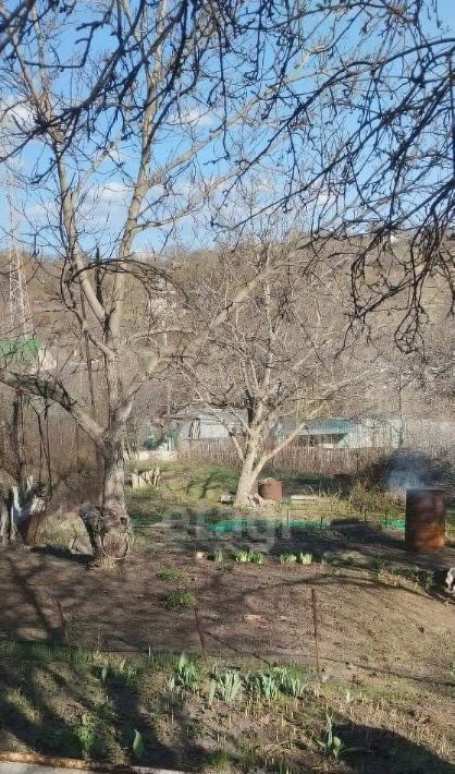 земля г Саратов р-н Волжский Сеча СНТ фото 1